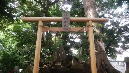 金山神社の鳥居