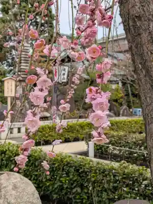 常性寺(東京都)