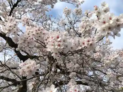 妙経寺(福井県)