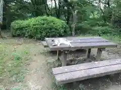 玉野御嶽神社の動物