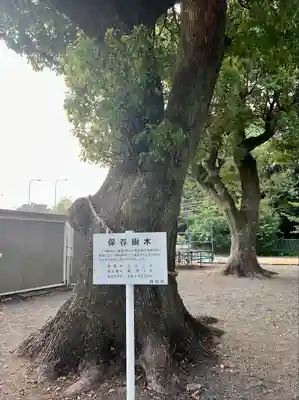 稲荷神社(静岡県)