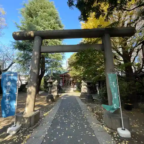 青山熊野神社(東京都)