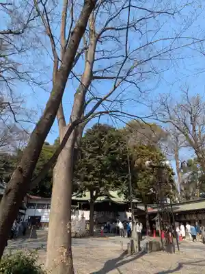 調神社(埼玉県)