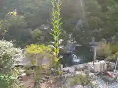 浄心寺の庭園