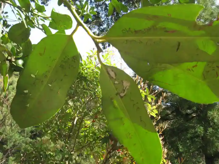 法起院(奈良県)