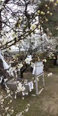 味生神社(大阪府)
