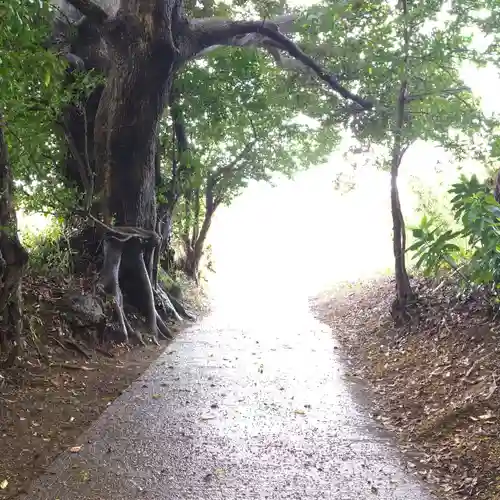 大宮神社の自然
