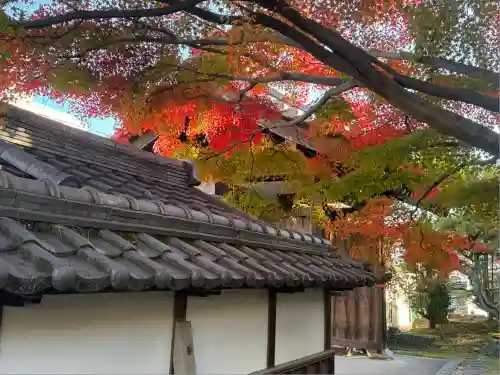 伊勢の国 四天王寺(三重県)