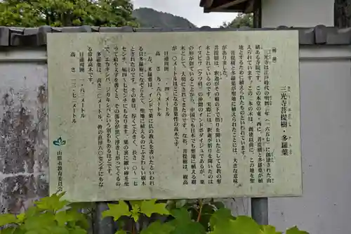三光寺(岐阜県)