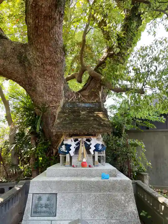 大麻比古神社(徳島県)
