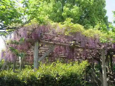 亀戸天神社(東京都)