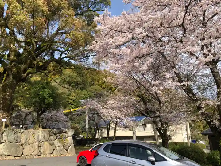 荒穂神社の自然