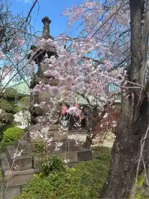 東陽院(東京都)