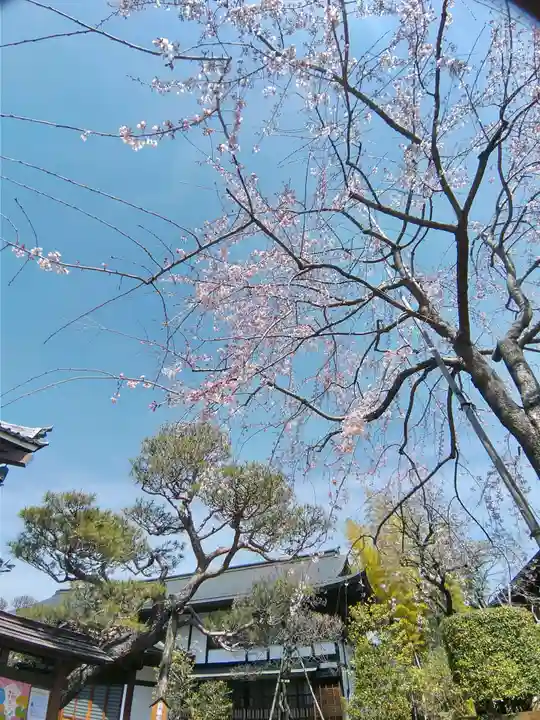 金剛院(東京都)