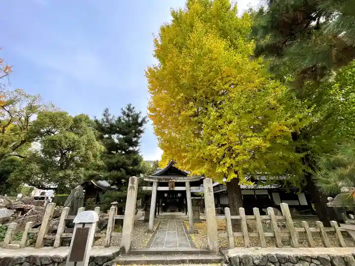 桃山天満宮の鳥居