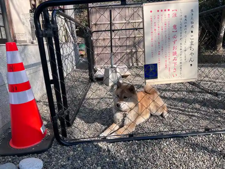 鶴峯八幡宮(千葉県)