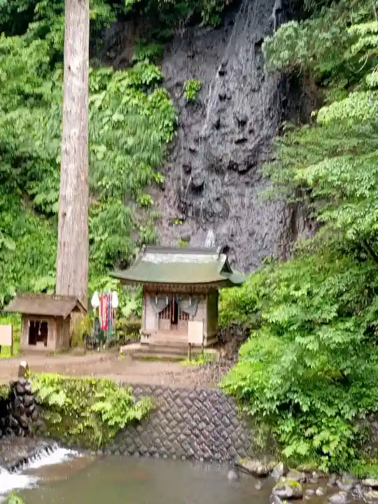 天地金神社(羽黒山神社前宮)の{uncategorized: "未分類", other: "その他", undefined: "問題あり", building: "その他建物", grave: "お墓", sacred_gate: "鳥居", guardian: "狛犬", statue: "像", buddha: "仏像", history: "歴史", nature: "自然", garden: "庭園", animal: "動物", pagoda: "塔", temizu: "手水舎", mountain_gate: "山門・神門", sanctuary: "本殿・本堂", subordinate: "末社・摂社", art: "芸術", scenery: "景色", jizo: "地蔵", ema: "絵馬", goshuin: "御朱印", omikuji: "おみくじ", items: "授与品その他", amulet: "お守り", goshuincho: "御朱印帳", eats: "食事", festival: "お祭り", votive_dance: "神楽", shichigosan: "七五三参", wedding: "結婚式", experience: "体験その他", initially: "初詣", around: "周辺", anti_infection: "感染症対策"}