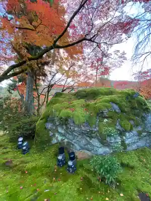 宝厳院(京都府)