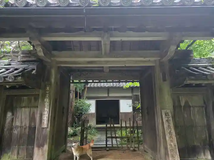 高貴寺(大阪府)