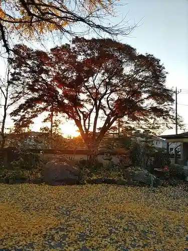 宗禅寺の庭園