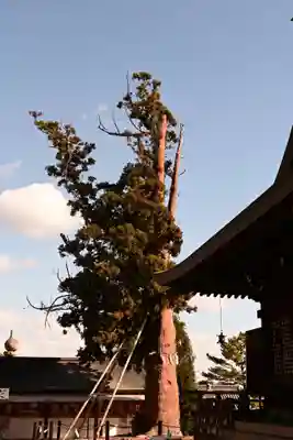 吉備津彦神社(岡山県)