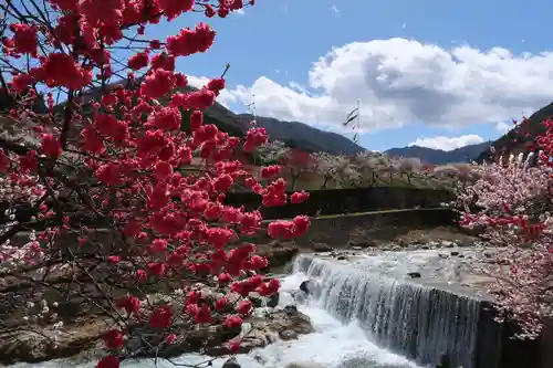 東円寺(岐阜県)