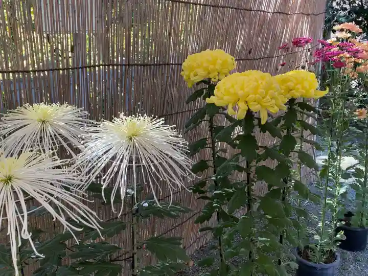 曾屋神社の自然