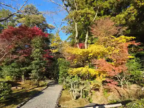 伊勢神宮内宮（皇大神宮）(三重県)