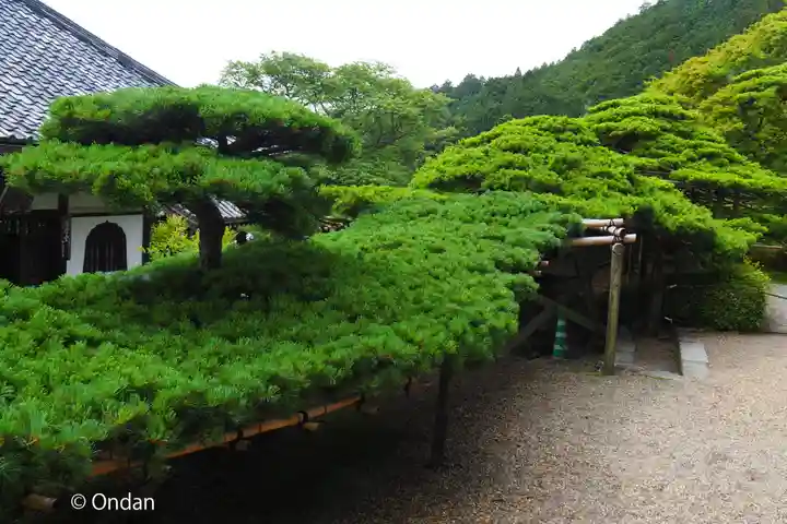 善峯寺(京都府)
