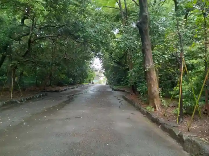 三嶋大社(静岡県)