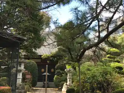 円福寺の本殿・本堂