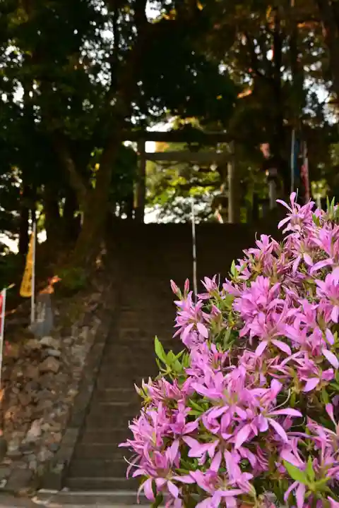 唐澤山神社(栃木県)