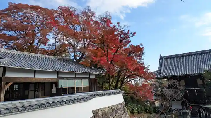 善峯寺(京都府)