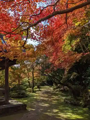 勝持寺（花の寺）(京都府)