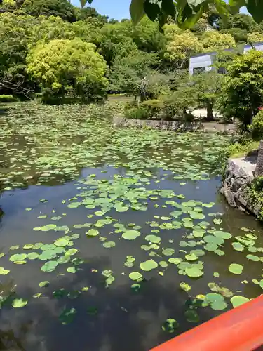 鶴岡八幡宮(神奈川県)