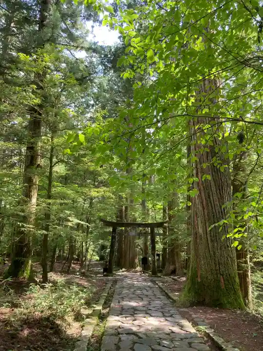 瀧尾神社(日光二荒山神社別宮)の鳥居