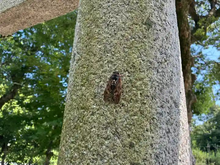 雨降神社(徳島県)