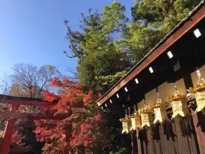 賀茂御祖神社（下鴨神社）のその他建物