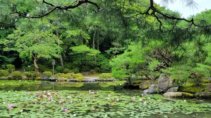 平安神宮(京都府)