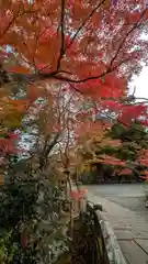 鍬山神社(京都府)