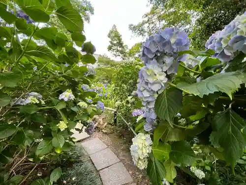 念佛院(奈良県)