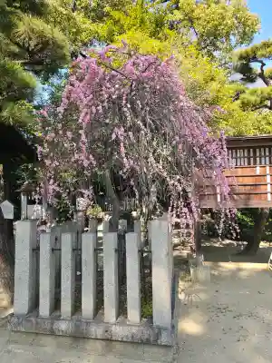 佐太神社(佐太天神宮)の{uncategorized: "未分類", other: "その他", undefined: "問題あり", building: "その他建物", grave: "お墓", sacred_gate: "鳥居", guardian: "狛犬", statue: "像", buddha: "仏像", history: "歴史", nature: "自然", garden: "庭園", animal: "動物", pagoda: "塔", temizu: "手水舎", mountain_gate: "山門・神門", sanctuary: "本殿・本堂", subordinate: "末社・摂社", art: "芸術", scenery: "景色", jizo: "地蔵", ema: "絵馬", goshuin: "御朱印", omikuji: "おみくじ", items: "授与品その他", amulet: "お守り", goshuincho: "御朱印帳", eats: "食事", festival: "お祭り", votive_dance: "神楽", shichigosan: "七五三参", wedding: "結婚式", experience: "体験その他", initially: "初詣", around: "周辺", anti_infection: "感染症対策"}