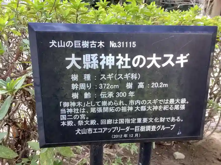 大縣神社のその他建物