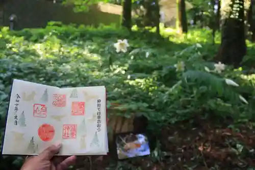 鹿島大神宮の御朱印