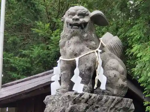 出雲神社の狛犬