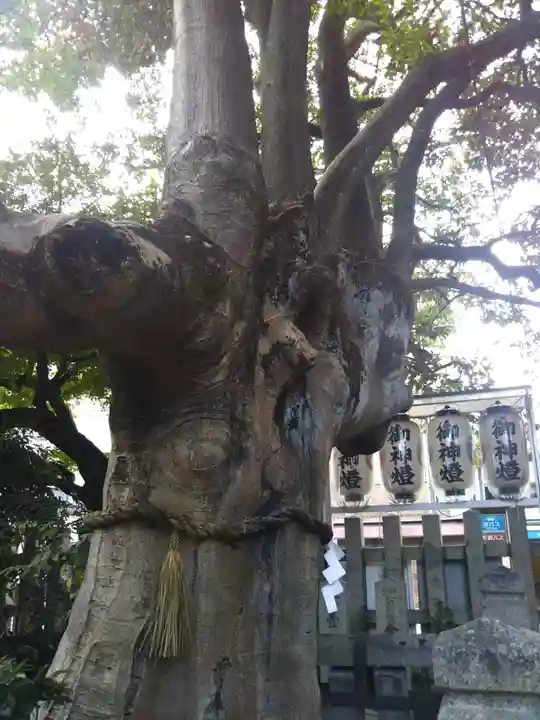 満足稲荷神社のその他建物