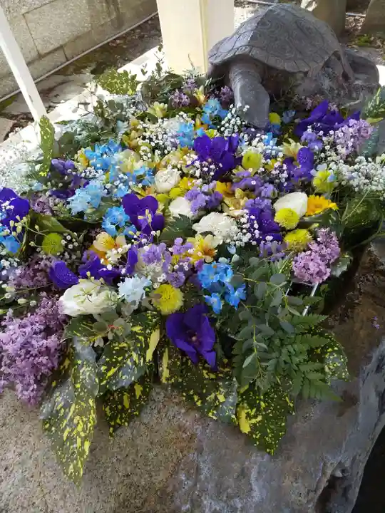 杉杜白髭神社(福井県)