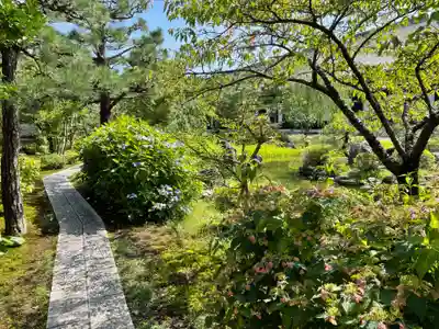 蓮華王院（三十三間堂）(京都府)