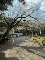 久麻久神社の{uncategorized: "未分類", other: "その他", undefined: "問題あり", building: "その他建物", grave: "お墓", sacred_gate: "鳥居", guardian: "狛犬", statue: "像", buddha: "仏像", history: "歴史", nature: "自然", garden: "庭園", animal: "動物", pagoda: "塔", temizu: "手水舎", mountain_gate: "山門・神門", sanctuary: "本殿・本堂", subordinate: "末社・摂社", art: "芸術", scenery: "景色", jizo: "地蔵", ema: "絵馬", goshuin: "御朱印", omikuji: "おみくじ", items: "授与品その他", amulet: "お守り", goshuincho: "御朱印帳", eats: "食事", festival: "お祭り", votive_dance: "神楽", shichigosan: "七五三参", wedding: "結婚式", experience: "体験その他", initially: "初詣", around: "周辺", anti_infection: "感染症対策"}