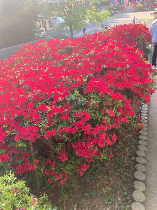 塩船観音寺(東京都)